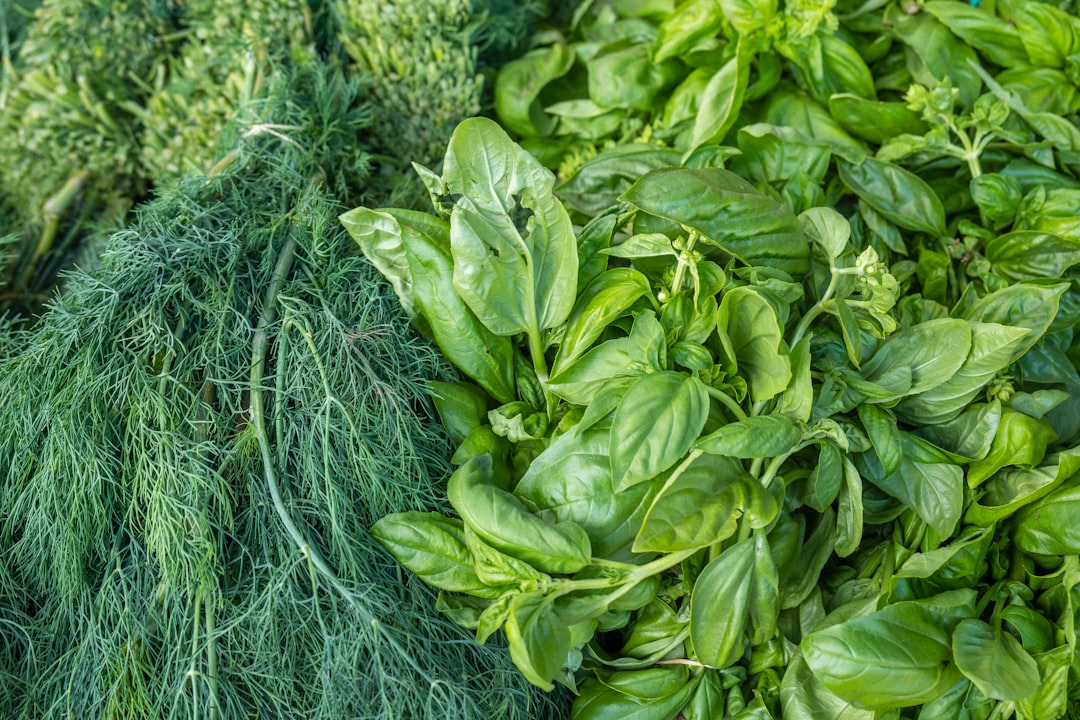 Infusing Dishes with Fresh Rosemary: A Flavorful Twist